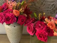 15 blessings for Makar Sankranti