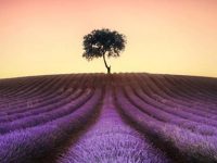 15 good night quotes