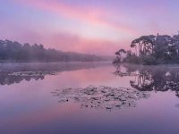 all the best wishes for exam