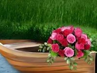 humorous new year wishes