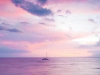 love proposal quotes