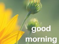 good morning husband quotes