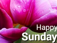 20 happy sunday quotes