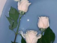 good memories quotes