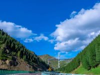 happy and safe journey wishes