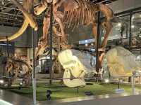 quotes on national science day