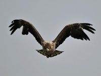 quotes about being strong