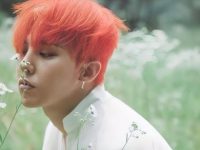 happy birthday wishes for little brother