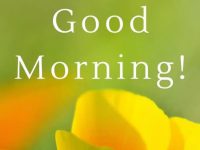 inspirational beautiful good morning quotes