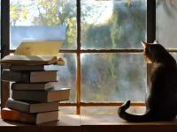 quote on world book day