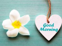 monday morning wishes