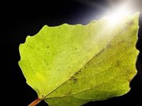 thank you for warm wishes