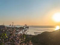 friday morning wishes