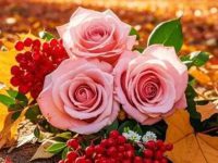 december month quotes