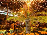 best diwali quotes