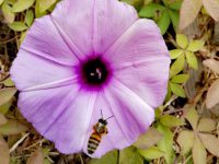 world photography day wishes