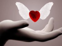 valentine day wishes for everyone