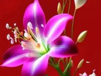 thanks all for your lovely wishes