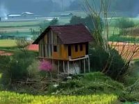 Feel the nature quotes